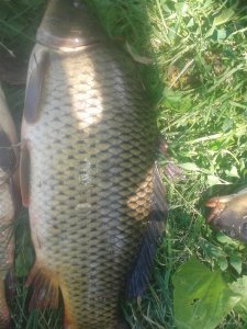 20190619_093711.jpg
