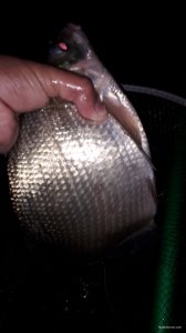 20190621_033531.jpg