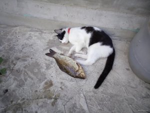 IMG_20190621_171145.jpg