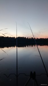 IMG_20190620_210801.jpg