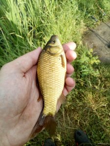 IMG_20190623_072759.jpg