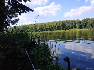 IMG_20190617_153945.jpg
