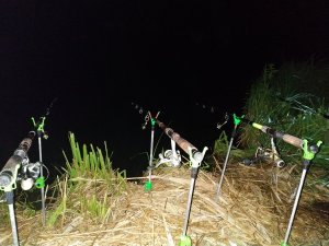 IMG_20190623_011031.jpg