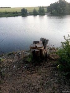 IMG_20190614_050626.jpg