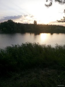 IMG_20190614_050611.jpg