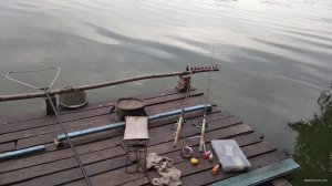 IMG_20190624_091845.jpg