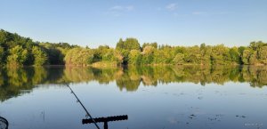 20190622_054930.jpg