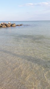 20190624_190726.jpg