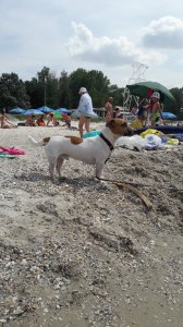 20190625_105456.jpg