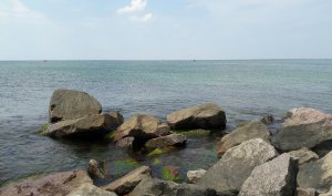 20190625_140745.jpg