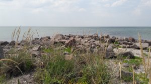 20190625_112400.jpg