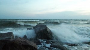20190627_211256.jpg