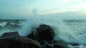 20190627_211347.jpg