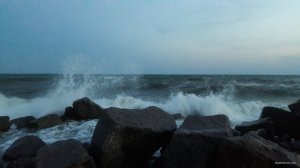 20190627_211427.jpg