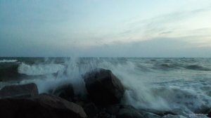 20190627_211613.jpg