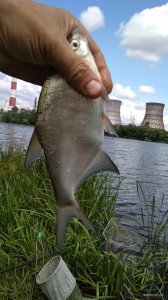 IMG_20190628_113313.jpg