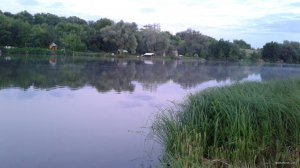 20190622_041343.jpg