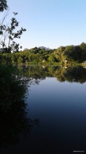 20190622_052707.jpg