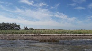 20190628_095851.jpg