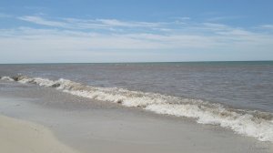 20190628_115729.jpg