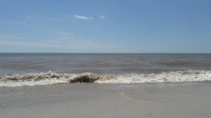 20190628_131025.jpg