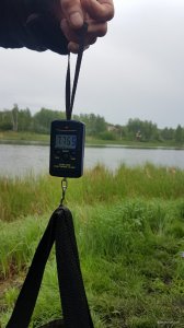 20190512_084018.jpg