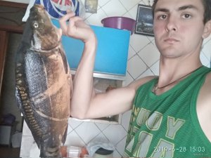 IMG_20190628_150322.jpg