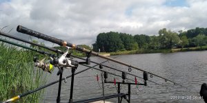 IMG_20190628_084150.jpg