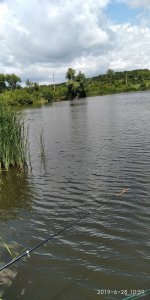 IMG_20190628_105929.jpg