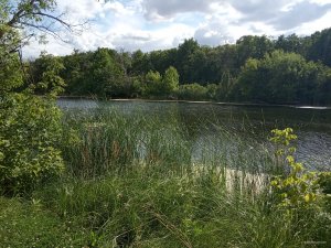 IMG_20190629_161731.jpg