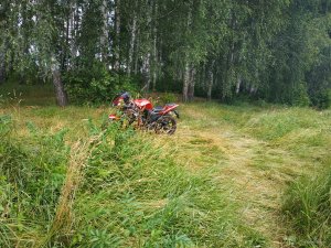 IMG_20190629_151037.jpg