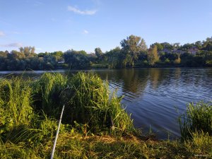 IMG_20190629_193832.jpg