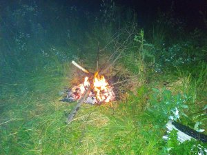 IMG_20190629_235509.jpg