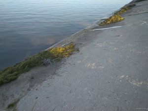 IMG_20190609_063833.jpg