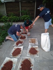 IMG_20190614_045955.jpg