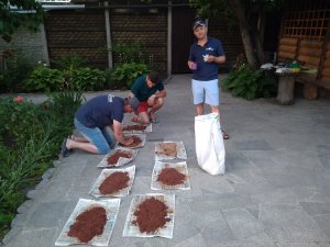 IMG_20190614_050007.jpg