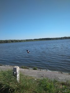 IMG_20190614_084737.jpg