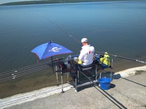 IMG_20190614_103347.jpg