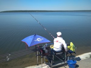 IMG_20190614_103401.jpg