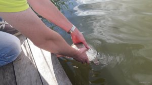 20190630_180713.jpg