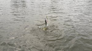 20190630_184546.jpg