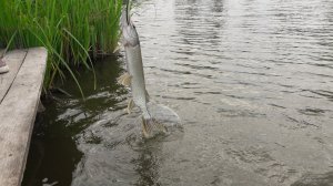 20190630_184556.jpg