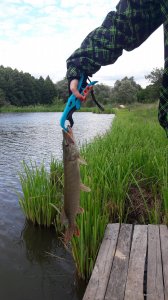20190630_184727.jpg