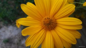 20190630_194925.jpg
