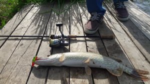 20190630_175527.jpg