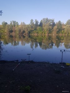 20190627_054836.jpg