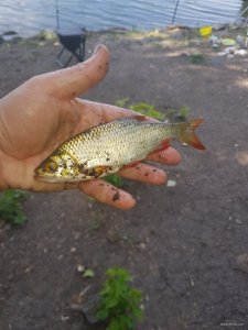 20190627_100124.jpg