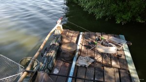 IMG_20190703_093957.jpg