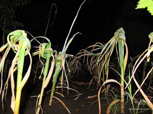 IMG_3002.jpg