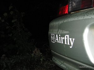 IMG_3006.jpg